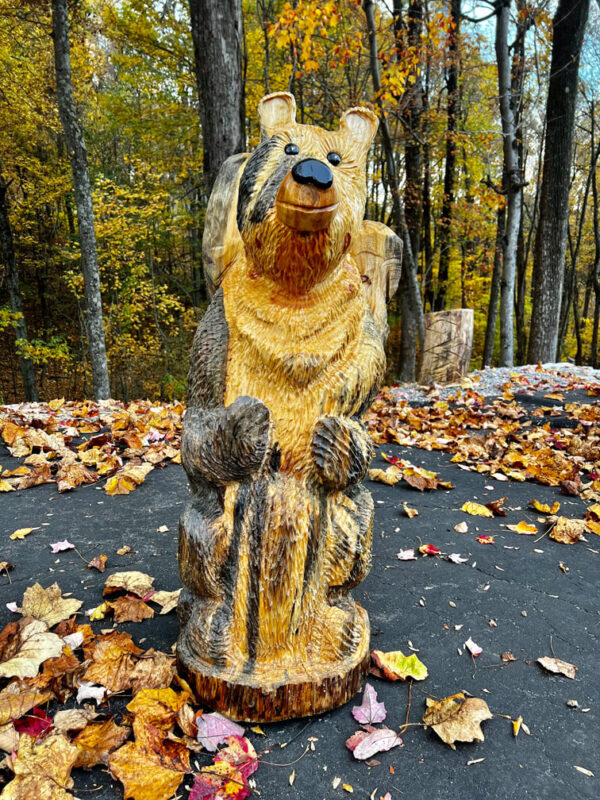 Mountain Bear woodcarving