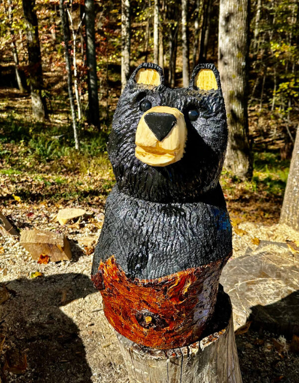Black Bear